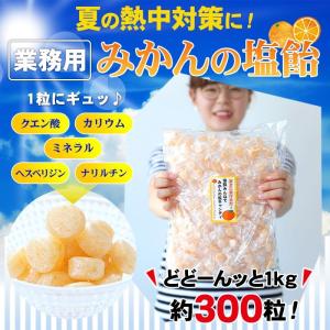 熱中飴、熱中対策、夏バテ対策に！業務用 みかん塩キャンディ（みかん塩飴）