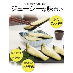 夏ギフト お中元 御中元 ギフト 2026 プ...の詳細画像1
