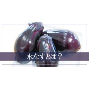 夏ギフト お中元 御中元 ギフト 2026 プ...の詳細画像2