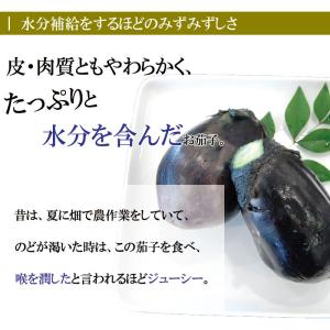 夏ギフト お中元 御中元 ギフト 2026 プ...の詳細画像3