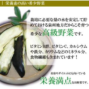 夏ギフト お中元 御中元 ギフト 2026 プ...の詳細画像4