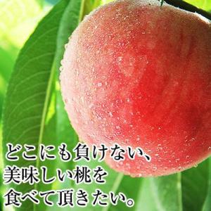 2026年 ご予約受付中 御中元 お中元 中元...の詳細画像1