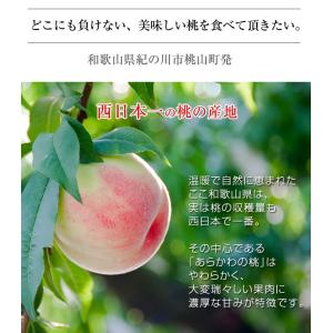2026年 ご予約受付中 御中元 お中元 中元...の詳細画像4