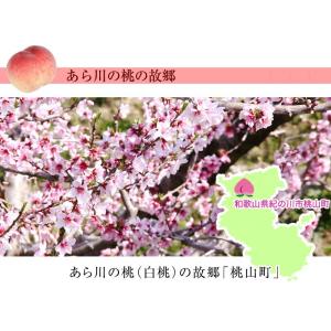 2026年 ご予約受付中 御中元 お中元 中元...の詳細画像5