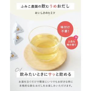 便利な個包装 飲むお出汁 梅味 オリジナル梅ブ...の詳細画像3