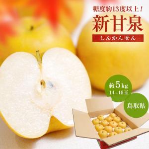 2026年 ご予約開始 秋の味覚 梨（なし） 鳥取県産 新甘泉（しんかんせん） 約5kg 14〜18玉 甘みたっぷり歯ざわりシャキシャキの新品種 送料無料 (fy8)