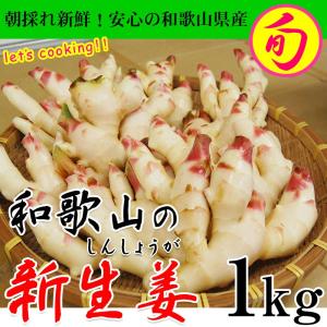 2026年ご予約受付中 内祝い ギフト 新生姜（和歌山県産）約1kg入｜紀州ふみこ農園