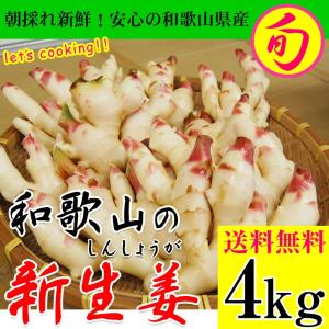 2026年ご予約受付中 内祝い ギフト 新生姜（和歌山県産） たっぷりお得な約4kg入 送料無料！　(fy8)｜紀州ふみこ農園