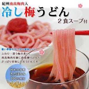 内祝い ギフト 紀州冷し梅うどん　冷たい麺つゆ付２人前セット　(fy2)