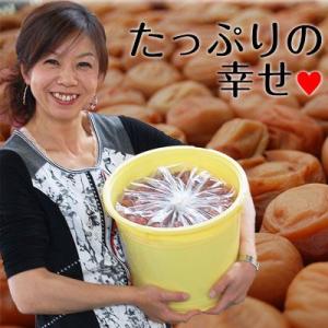 ましゅ めるの10kg 無添加 自家製 梅干し 紀州みなべの南高梅 梅干し無添加 昔ながらの梅干し10kg 樽入り 和歌山県産 紀州南高梅
