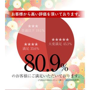 お中元 御中元 紀州南高梅肉入 手延べ梅そうめ...の詳細画像3