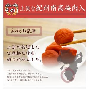 お中元 御中元 紀州南高梅肉入 手延べ梅そうめ...の詳細画像4