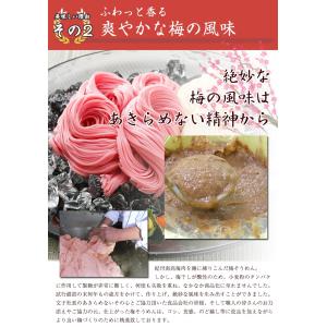 お中元 御中元 紀州南高梅肉入 手延べ梅そうめ...の詳細画像5