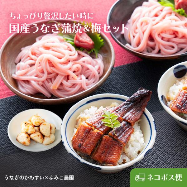 夏ギフト お中元 御中元  2026 国産うなぎ蒲焼カットと梅にんにくセット 常温 香ばしい鰻 梅か...