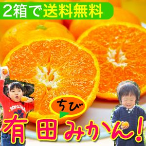 2025年 ご予約開始 有田みかん(ちびみかん)...の商品画像