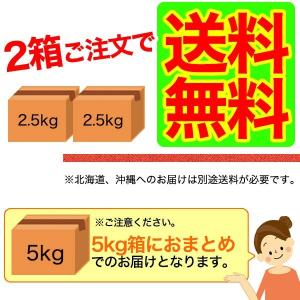 2025年 ご予約開始 有田みかん(ちびみかん...の詳細画像2