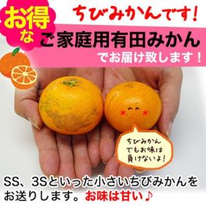 2025年 ご予約開始 有田みかん(ちびみかん...の詳細画像5