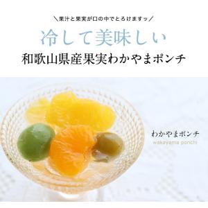 夏ギフト お中元 御中元 ギフト 2026 ス...の詳細画像2