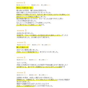 夏ギフト お中元 御中元 ギフト 2026 ス...の詳細画像5