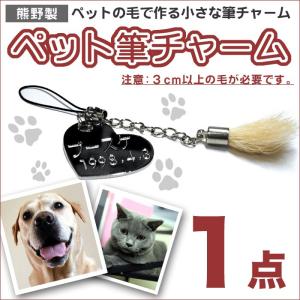 ペット用AHCC イムノブロン (ソフトカプセル) 480粒(120粒×4袋入) 全国