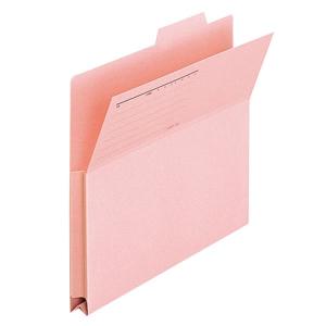 【A4-E】プラス／持ち出しフォルダー（FL-061PF・87-138）　ピンク　所属・活用期間・項目などの書き込み欄あり　マチ付きで書類が落ちにくい／PLUS｜bungle