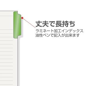 【A4サイズ】マルマン ラミネートタブインデッ...の詳細画像3