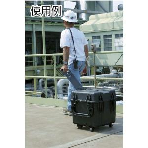 ペリカン PELICAN 0340NFBK ラ...の詳細画像3