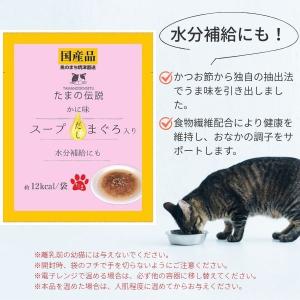 在庫 STIサンヨー 495368520181...の詳細画像4
