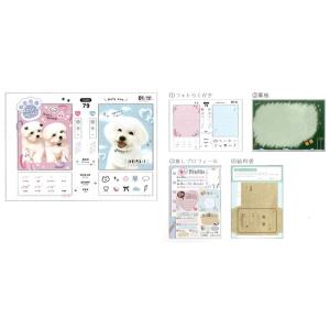 カミオジャパン パロディメモ 推しプロフィール帳 A6サイズ 楽しい文具