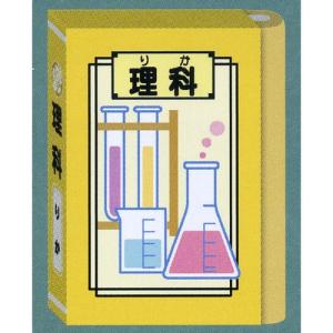 学校でのおなじみのアイテムがステーショナリーに☆ 平成小学校ステーショナリー・教科書型消しゴム”理科”｜bungu-mori