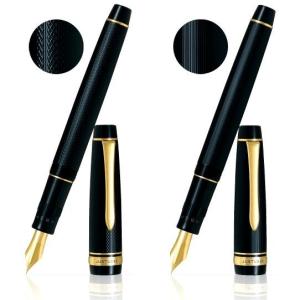 PILOT 万年筆 カスタムヘリテイジ91 FKVHN-12SR-DLF 軸色：ダーク
