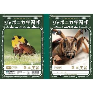 ショウワノート ジャポニカ学習帳 漢字練習帳 84字 B5