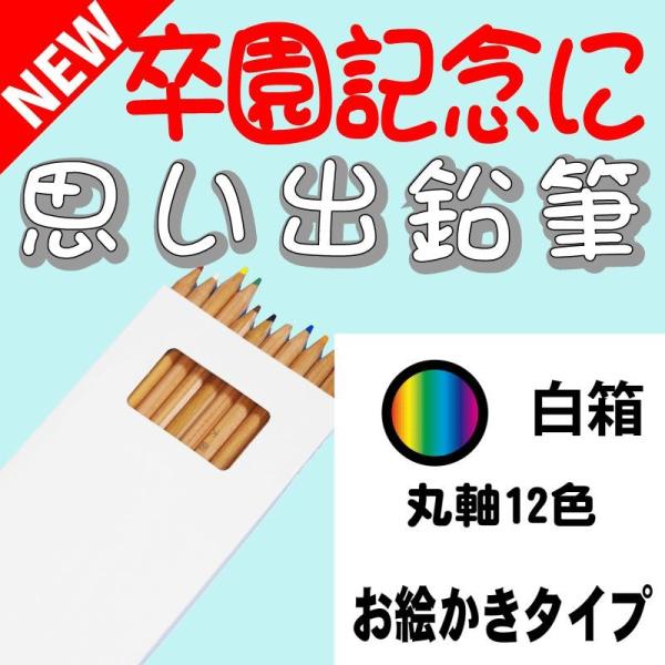 こんな鉛筆が欲しかった 思い出鉛筆 丸軸１２色鉛筆・お絵かきタイプ 卒園記念品 卒業記念品 名入れ ...