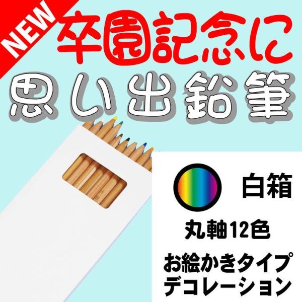 こんな鉛筆が欲しかった 思い出鉛筆 丸軸１２色鉛筆・お絵かきタイプ・デコレーション付き 卒園記念品 ...