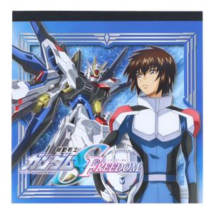 機動戦士ガンダムSEED FREEDOM タペストリー キラ＆アスラン B2 劇場版
