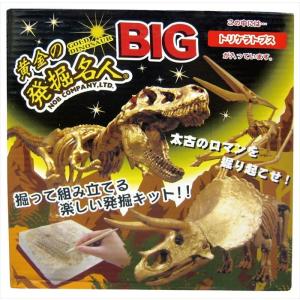 さらにBIGになった 化石を発掘する楽しさ 掘って、恐竜を組み立てよう 黄金の発掘名人BIG トリケラトプス｜bungu-mori