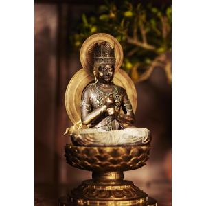 イSム TanaCOCORO [掌] 大日如来 仏像 フィギュア ポリストーン 正規