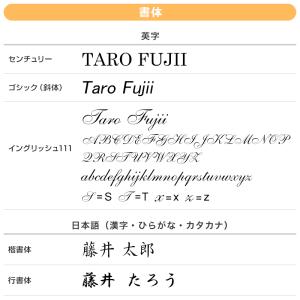 地球儀に1円名入れサービス プレゼントにピッタ...の詳細画像2