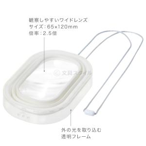 超観察スコープ 2.5倍 自由研究 小学生 子...の詳細画像2