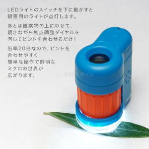 本日Point3% 顕微鏡 子供 ハンディ顕微...の詳細画像2