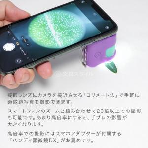 本日Point3% 顕微鏡 子供 ハンディ顕微...の詳細画像3