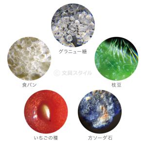 本日Point3% 顕微鏡 子供 ハンディ顕微...の詳細画像5