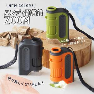 顕微鏡 子供 ハンディ顕微鏡ZOOM 60〜1...の詳細画像1