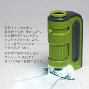 顕微鏡 子供 ハンディ顕微鏡ZOOM 60〜1...の詳細画像2