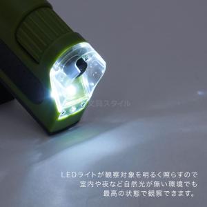顕微鏡 子供 ハンディ顕微鏡ZOOM 60〜1...の詳細画像3
