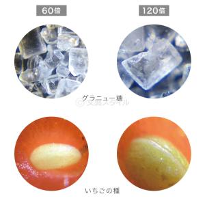 顕微鏡 子供 ハンディ顕微鏡ZOOM 60〜1...の詳細画像4