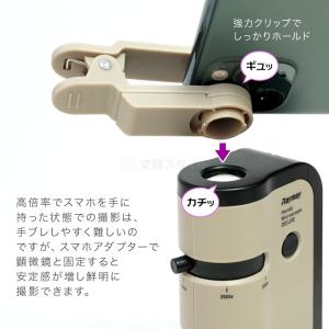 本日Point5% 顕微鏡 子供 ハンディ顕微...の詳細画像2