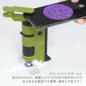 本日Point5% 顕微鏡 子供 ハンディ顕微...の詳細画像3