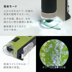 本日Point5% 顕微鏡 子供 ハンディ顕微...の詳細画像5