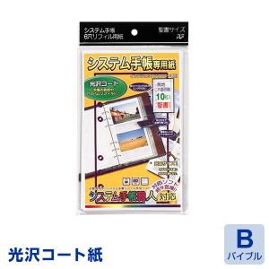 ＼本日Point5%／システム手帳専用紙 バイブルサイズ光沢コート 10枚入り SSB-03（メール便発送）｜bungu-style